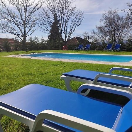 Quinta Chao Da Bispa Oliveira do Hospital Dış mekan fotoğraf