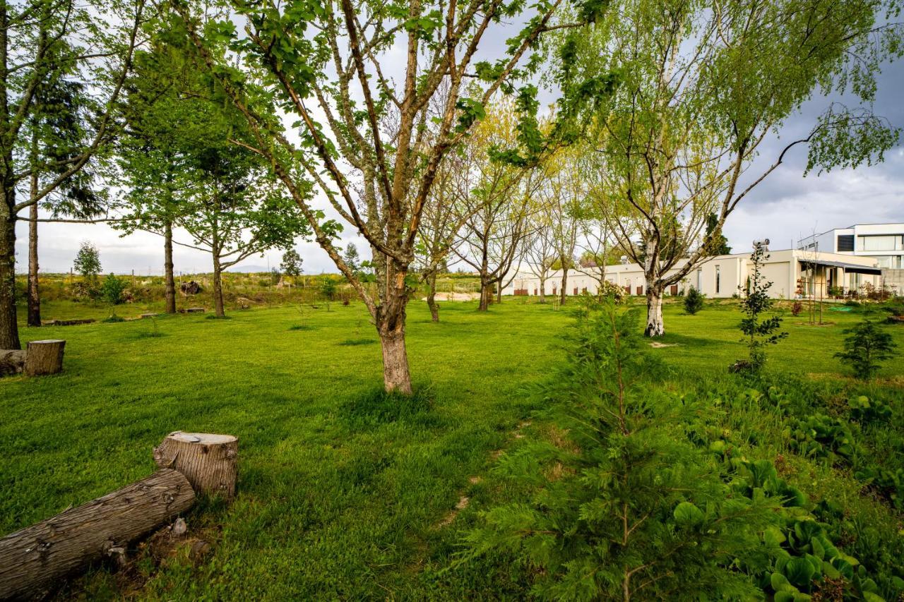 Quinta Chao Da Bispa Oliveira do Hospital Dış mekan fotoğraf