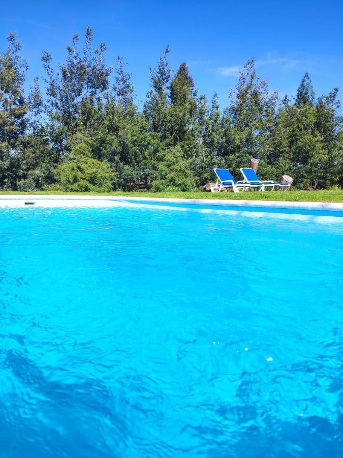 Quinta Chao Da Bispa Oliveira do Hospital Dış mekan fotoğraf